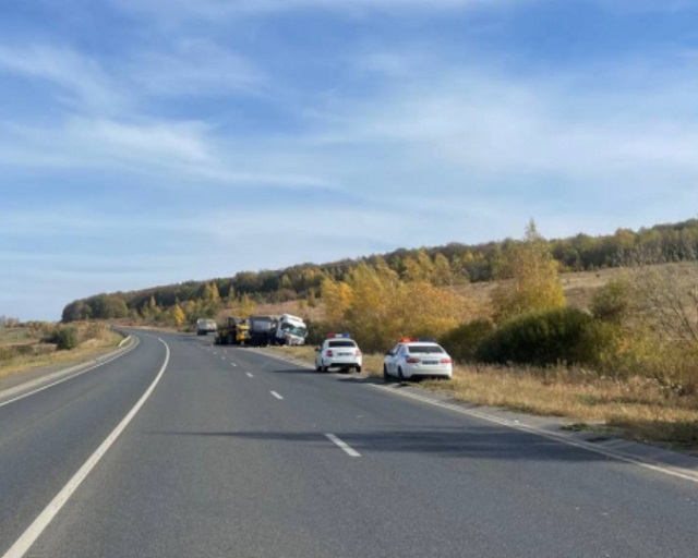 Водитель автофургона пострадал в результате столкновения с фурой в Мордовии