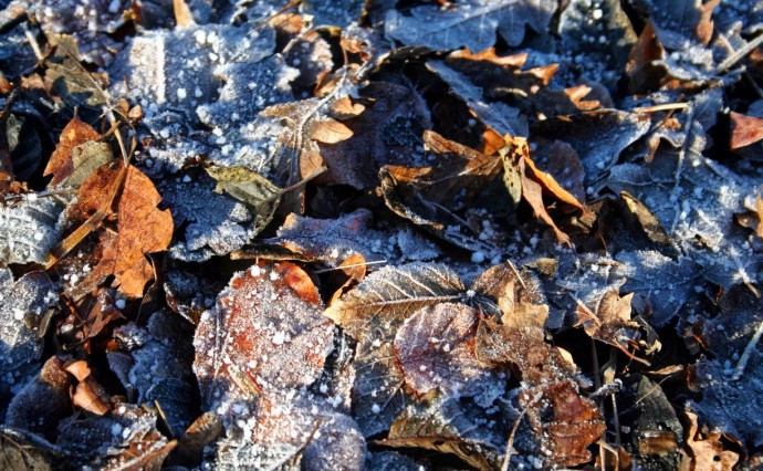 Температура воздуха в Южно-Сахалинске опустится ниже нуля