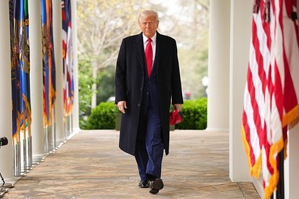Трампа предостерегли от «исторической ошибки» из-за решения по России