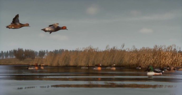 Создатели BULT рассказали новые подробности об игре