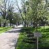 Судьи КЧР высадили аллею памяти к 80-летию Победы