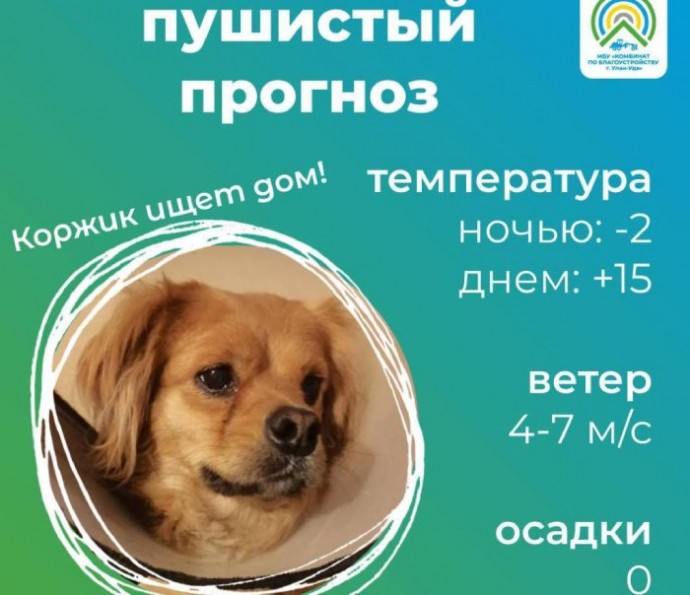 В Улан-Удэ комбинат по благоустройству начал метеоакцию добра