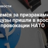 "Гоняемся за призраками": французы пришли в ярость из-за провокации НАТО