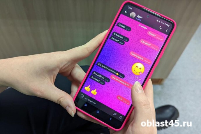 Голосование за подключение мобильного интернета в сёлах Курганской области на Госуслугах