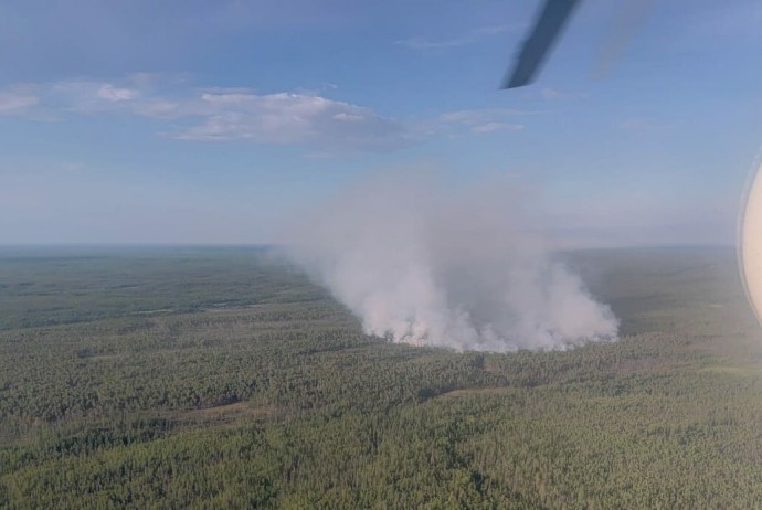 Крупный лесной пожар локализовали в Сунтарском районе