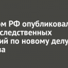 Следком РФ опубликовал кадры следственных действий по новому делу Попкова
