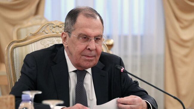 Главы МИД России и Ирака обсудили Российско-Арабский саммит