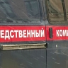 В Хабаровском крае задержали серийного насильника-дальнобойщика, нападавшего на девушек с 2005 года