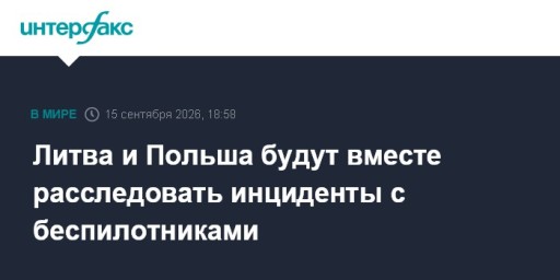Литва и Польша будут вместе расследовать инциденты с беспилотниками