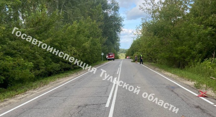 В Тульской области в аварии пострадали две девочки
