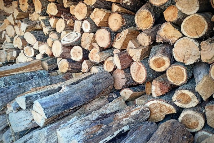 В Пензенской области приняли решение, которое облегчит зиму для семей участников СВО