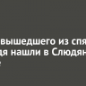 Следы вышедшего из спячки медведя нашли в Слюдянском районе
