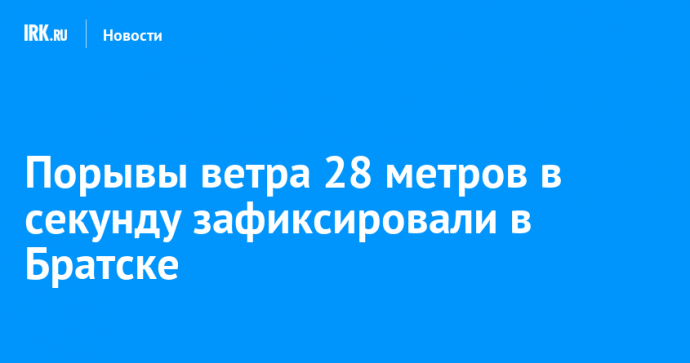 Порывы ветра 28 метров в секунду зафиксировали в Братске