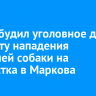 СК возбудил уголовное дело по факту нападения бродячей собаки на подростка в Маркова