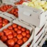 В Астраханской области готовятся к рекордному урожаю риса