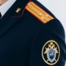В Республике Карелия руководитель коммерческих организаций предстанет перед судом за совершение преступлений в сфере экономической деятельности