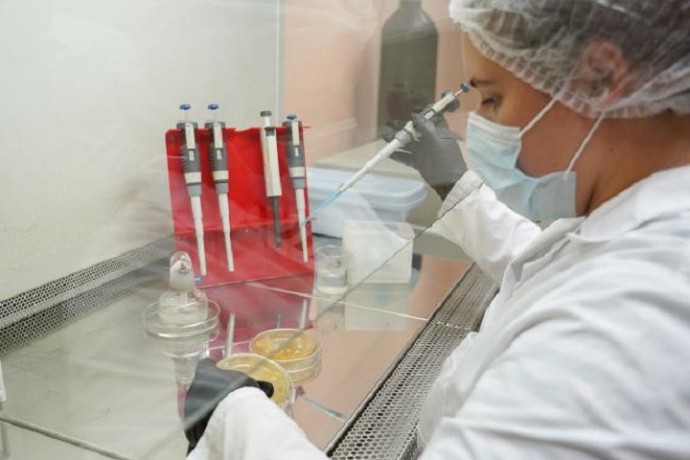 «Приоритет-2030»: ученые ВятГУ разработали биосурфактанты для защиты окружающей среды