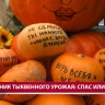В сахалинском детском саду решили провести Тыквенный Спас вместо Хэллоуина
