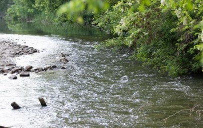 На курском пляже «Здоровье» спасли тонущего ребенка
