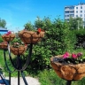 Более 22 тысяч амурчан выбрали территории, которые благоустроят в 2026 году