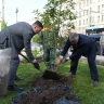 В День города в Сквере финансистов высадили сакуру