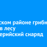 В Братском районе грибник нашел в лесу артиллерийский снаряд