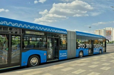 В ДТП с электробусами на юго-западе Москвы пострадали 14 человек