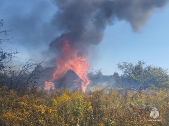 За сутки в Тульской области потушили 7 пожаров