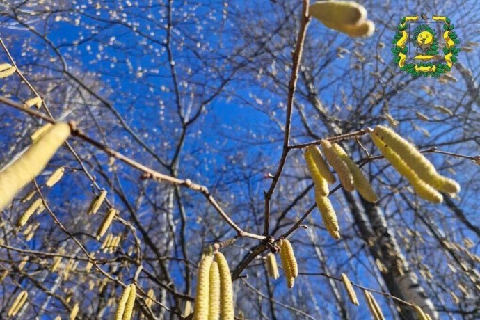 Ясно и +16°C прогнозируется в Нижнем Новгороде в последний день марта