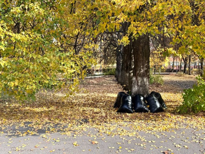 Глава Пензы принял участие в масштабном субботнике по озеленению города Глава Пензы принял участие в масштабном субботнике по озеленению города