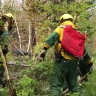 В Бурятии за сутки ликвидировали пять лесных пожаров