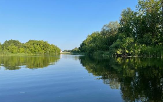 В Курске планируют создать пляж с искусственной серф-волной