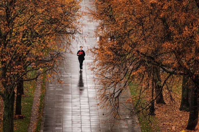 Роспотребнадзор: Грипп пришел в Москву в этом году раньше из-за теплой осени Роспотребнадзор: Грипп пришел в Москву в этом году раньше из-за теплой осени