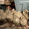Амурчанин получил 4,5 года строгого режима за 25 килограммов конопли