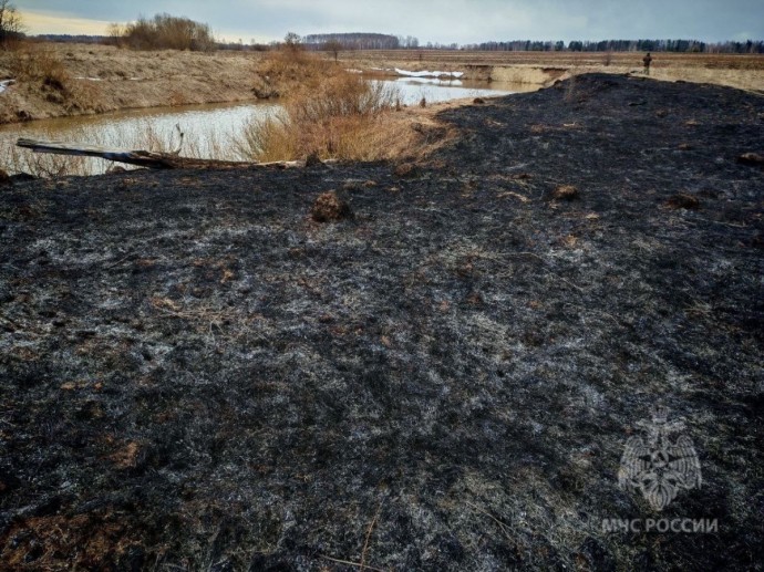 Брошенный окурок спалил 750 «квадратов» травы