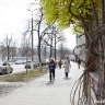 Белгородцев предупредили о новом виде мошенничества с самозапретом на кредиты