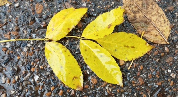 Погода в выходные дни порадует жителей Башкирии