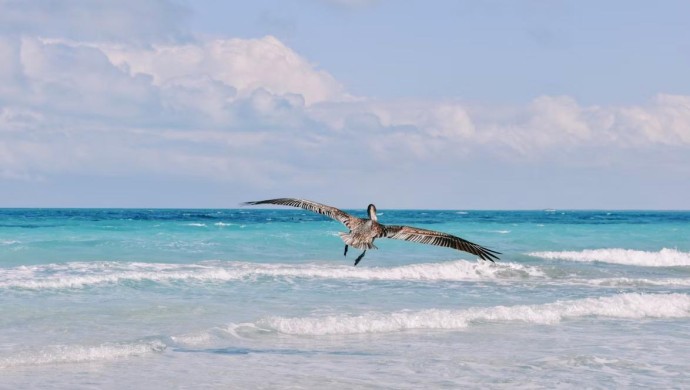 Российские туристы не смогли попасть на кубинский курорт Ольгин из-за урагана