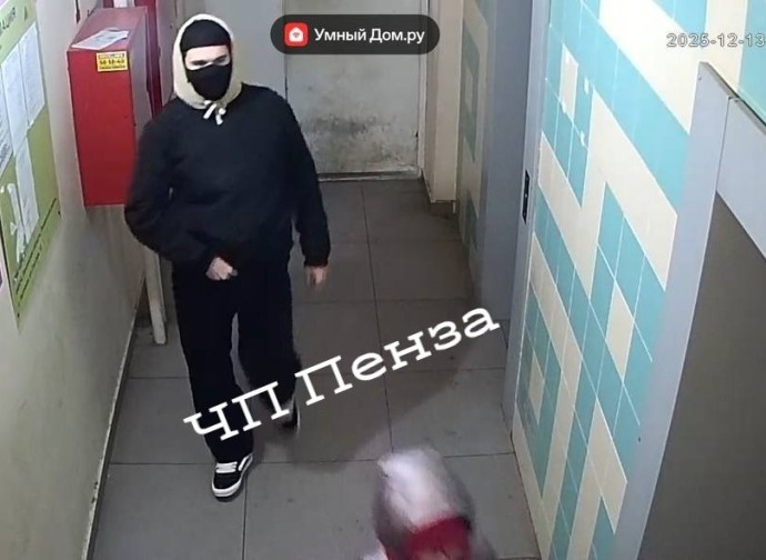 Шокирующий инцидент с ребенком в лифте: извращенца задержали под Пензой Шокирующий инцидент с ребенком в лифте: извращенца задержали под Пензой