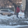 Благовещенцам рассказали, почему нельзя кормить птиц в городе