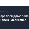 Три пожара площадью более 2 тыс. га потушили в Забайкалье