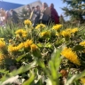 В Бурятии местами кратковременные дожди