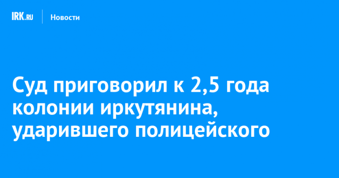 Суд приговорил к 2,5 года колонии иркутянина, ударившего полицейского