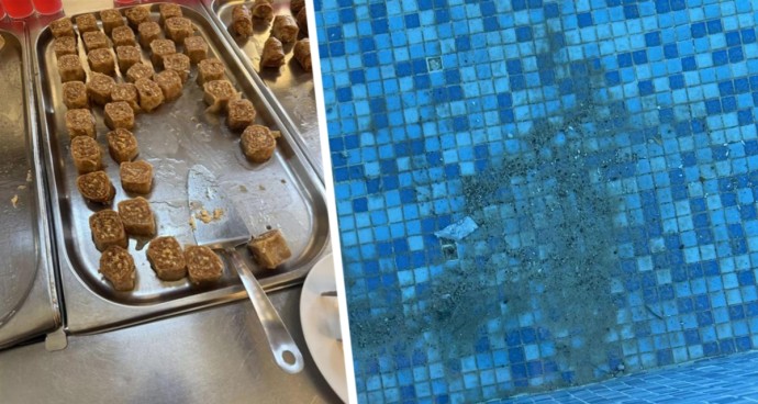 «Я бы собаке такое не дала»: туристка была шокирована питанием на «все включено» в отеле Крита «Я бы собаке такое не дала»: туристка была шокирована питанием на «все включено» в отеле Крита