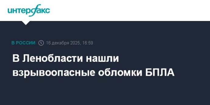 В Ленобласти нашли взрывоопасные обломки БПЛА