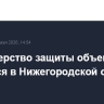 Министерство защиты объектов появится в Нижегородской области