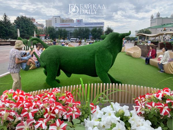 В Улан-Удэ быка с площади Советов отправят на зимовку