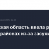 Ростовская область ввела режим ЧС в 10 районах из-за засухи