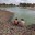 Цена одной капли: как спастись от дефицита водных ресурсов?