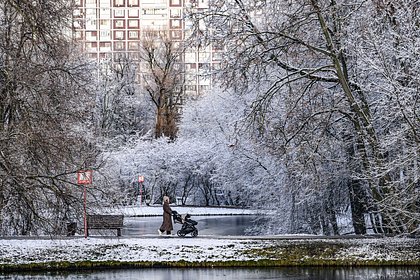 Москвичей предупредили об аномальном конце осени Москвичей предупредили об аномальном конце осени